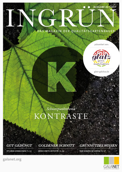 Ingrün 01/2017