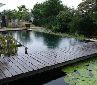 Schwimmteich